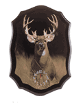 Standing White Tail Buck Clock