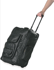 Leather Backpack/Cart