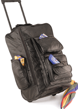 Leather Backpack/Cart