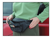 Nylon Belt Bag
